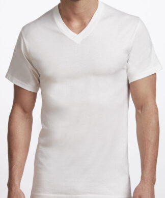 Stanfield's Premium 100% cotton 2 Pack T-Shirts - 2570