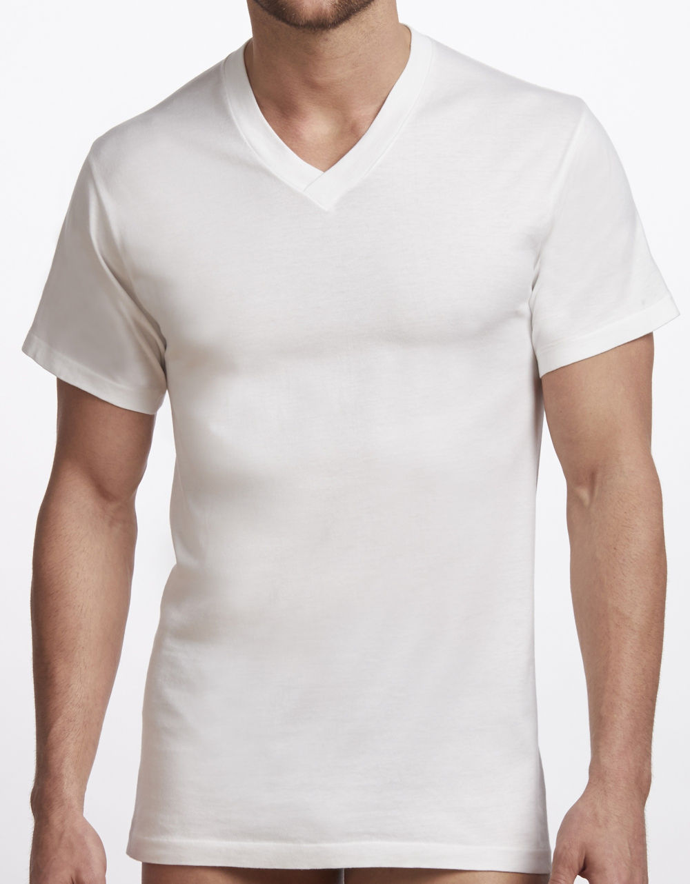 Stanfield’s Premium 100% cotton 2 Pack T-Shirts – 2570 - Basics by Mail