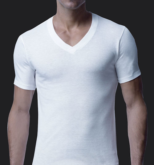 Stanfield’s Supreme V-neck 2 Pk T-shirt- L to 3XL – Tall Fit – 6758 ...